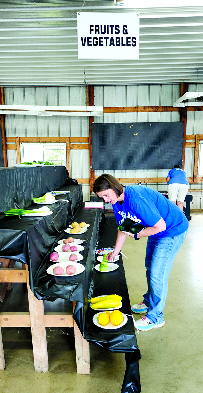 Natalie Wolfe, chairman of the Floral Hall at the Pendleton County Youth Fair, arranges the first vegetable entries Sunday. Wolfe said the number of entries slipped a few years ago when the fair was forced to switch to a June starting date to accommodate the availability of the carnival rides company.