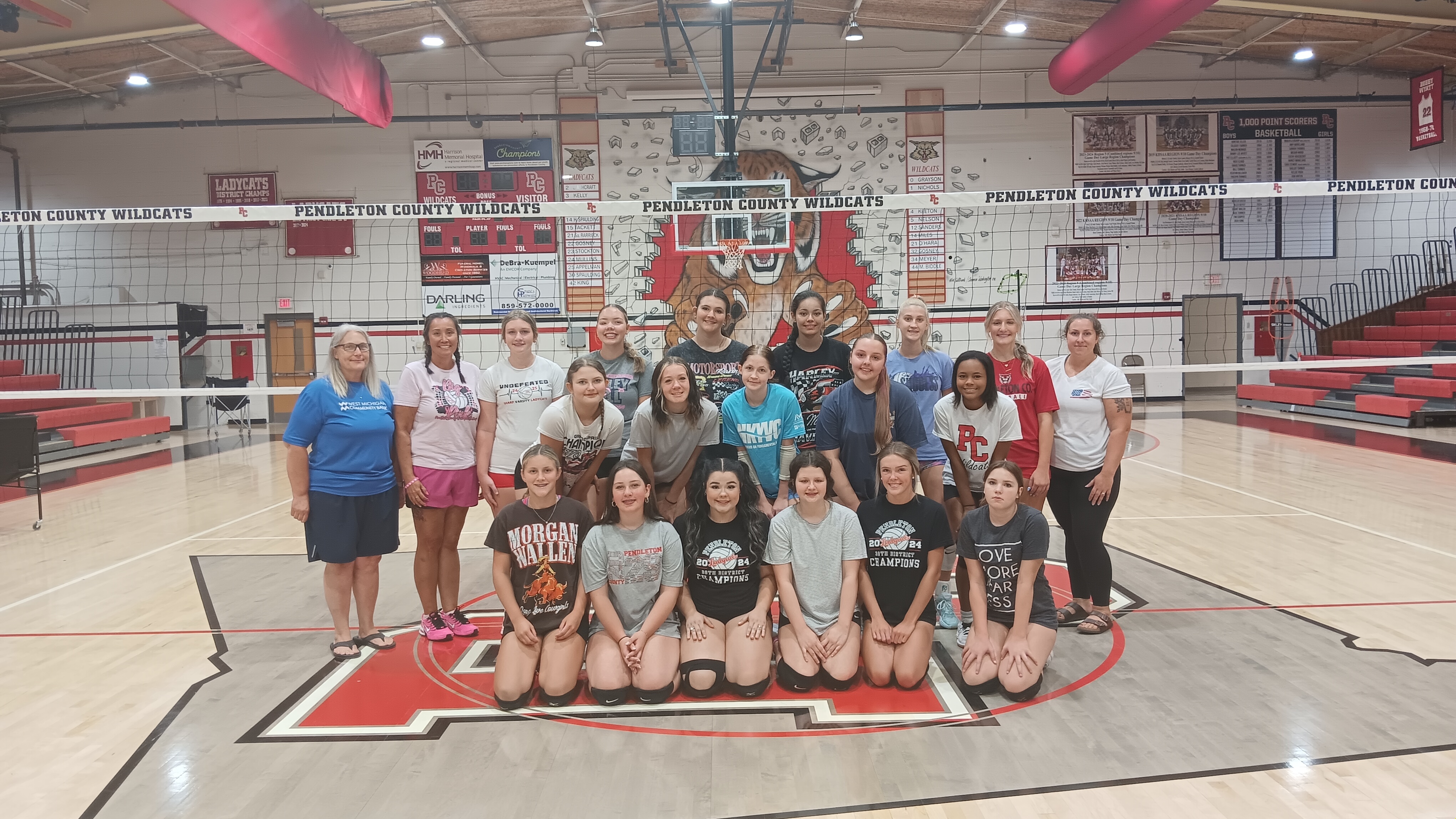 Ladycats Volleyball ready for a new beginning
