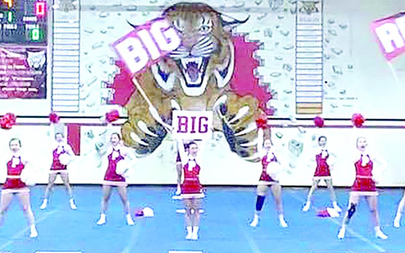 Cheer Cats