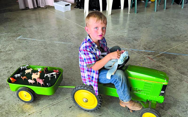 TOY TRACTOR, 4-6 YEARS OLD: Harvey Orme, first place.