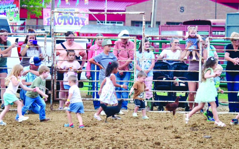Feathers and feet fly during the Chicken Rodeo Wednesday at the Pendleton County Youth Fair. Photos by Lisa Arnold.