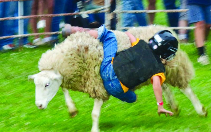Another rider takes a tumble in the popular annual Mutton Bustin’ competition.