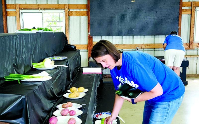 Natalie Wolfe, chairman of the Floral Hall at the Pendleton County Youth Fair, arranges the first vegetable entries Sunday. Wolfe said the number of entries slipped a few years ago when the fair was forced to switch to a June starting date to accommodate the availability of the carnival rides company.