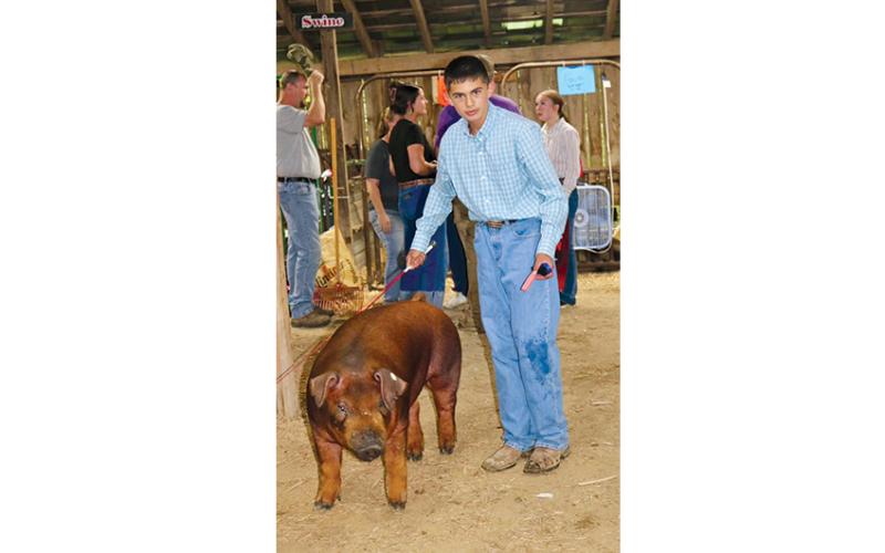 Liam Matill and his Duroc hog.
