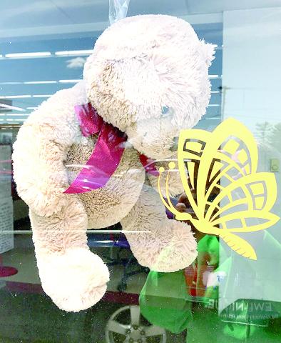 bear and butterfly