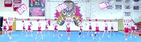 Cheer Cats