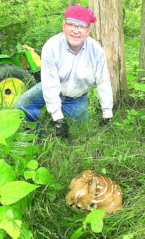 Bill Mitchell discovered a fawn on his property